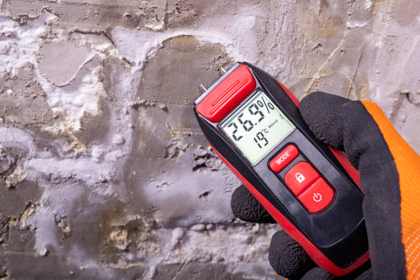 Best Mold Remediation for Schools in Sterling Heights, MI
